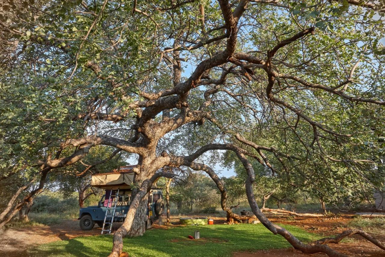 Zuricamp - Campsite Halishi Tsumeb Exteriér fotografie