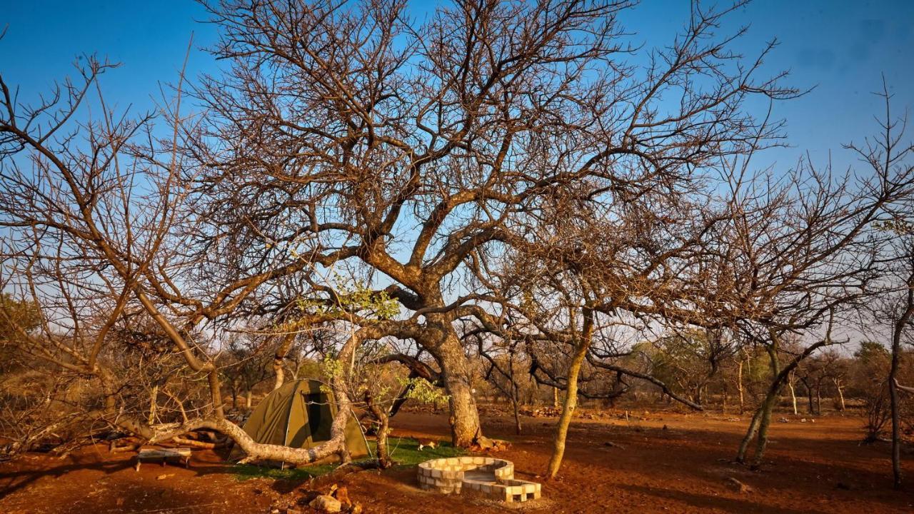 Zuricamp - Campsite Halishi Tsumeb Exteriér fotografie